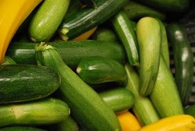 yellow and green zucchini