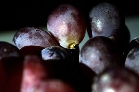 purple grapes