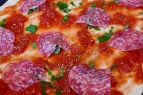 pizza with salami before baking