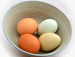 Eggs of different colors