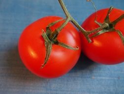 two red tomatoes on a branch