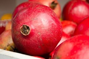 fresh red fruit pomegranate