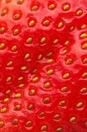 macro strawberry