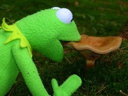 green frog eating a mushroom