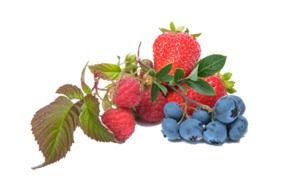 photo of wild berries and strawberries