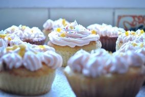 delicious cupcake dessert