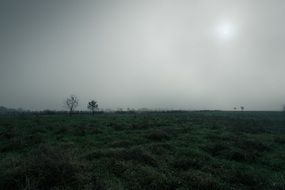 marsh moor landscape