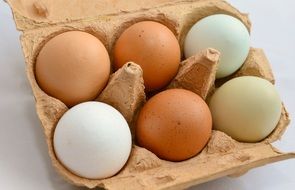 brown and white eggs in carton box