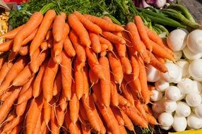 harvest orange carrots in the market