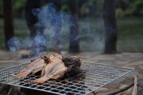 fish cooking on grill outdoor