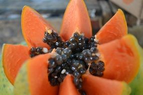 cut papaya close up