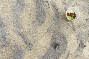 drink on the beach sand