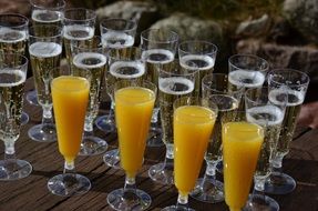 picturesqueglasses champagne