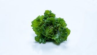 green curly salad