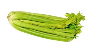 celery on the white background