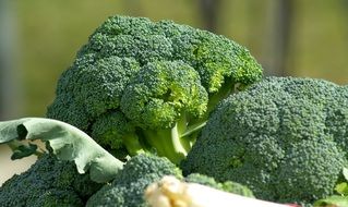 A few of broccoli lie in a pile in market close-up on blurred background