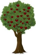 green tree with red fruits