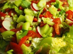 salad mixed with cucumber and tomato