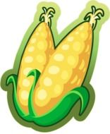 corn maize vegetables drawing
