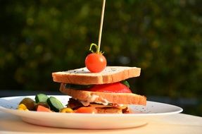 sandwich with vegetables on plate