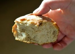 a bitten piece of bread