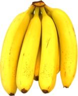 bananas ripe