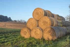 round straw bales