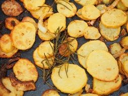 fried potatoes with rosemary