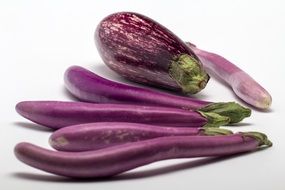 purple ripe eggplants