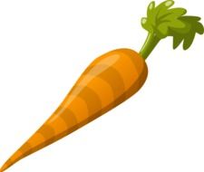 Fresh,orange carrot clipart