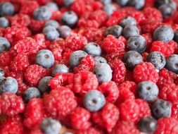 raspberries and blueberries berries for health