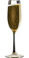 champagne alcohol bubble bubbles