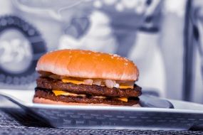 cheeseburger on a plate