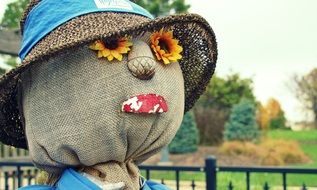 scarecrow head in the garden