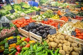market stands with different vegetables