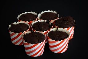 cocoa muffins