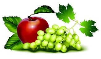 drawn green grapes and red apple