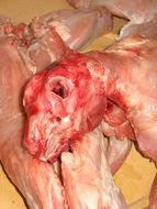 skinless rabbit carcass