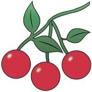 drawing three cherries