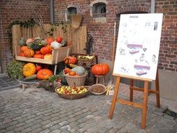 pumpkins fruits