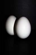 clipart of chicken eggs in the dark