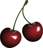 red cherry fruits on white background