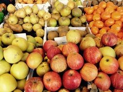 apples and other fruits in the market