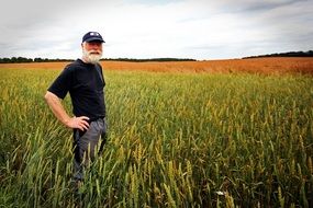 old farmer in grain field portrait