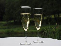 two glasses of champagne on a white table