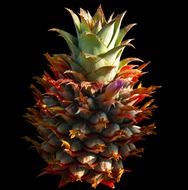 little pineapple