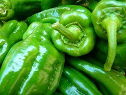 green paprika fresh vegetables