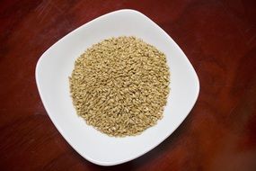 flax seed on plate