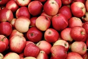 many red yellow apples