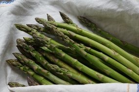 fresh green asparagus